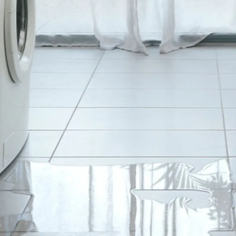 Appliance Leak Cleanup in Burke County, GA