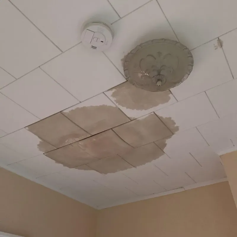 Ceiling Water Damage Repair in Burke County, GA