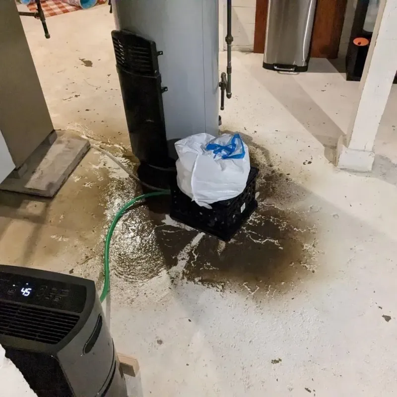 Sewage Backup Cleanup Service in Burke County, GA